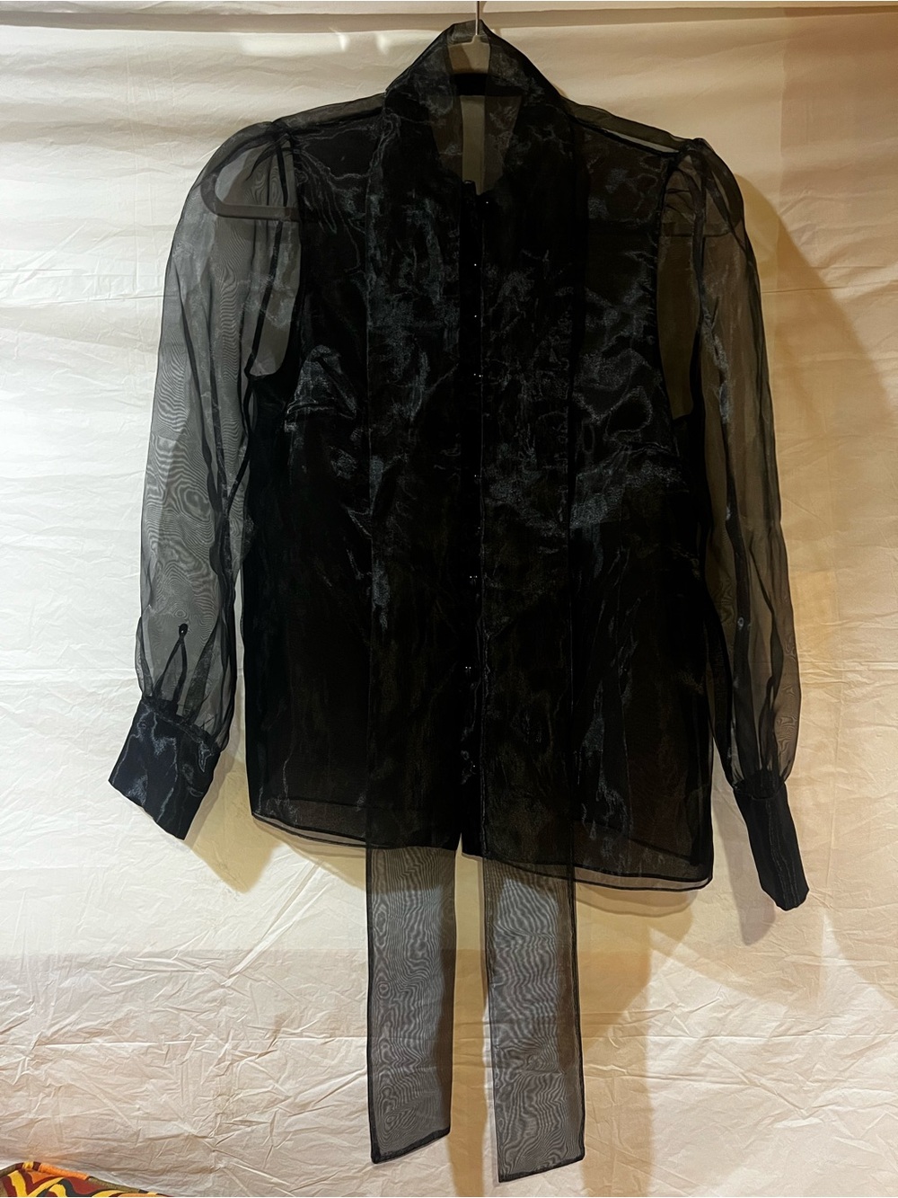 Zara Black Sheer Tie-Neck Blouse
